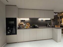 Zion Road (D10), Condominium #564186181